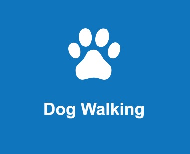 dog walking