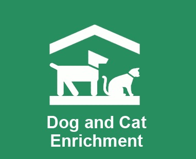 dog cat