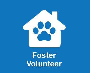 foster