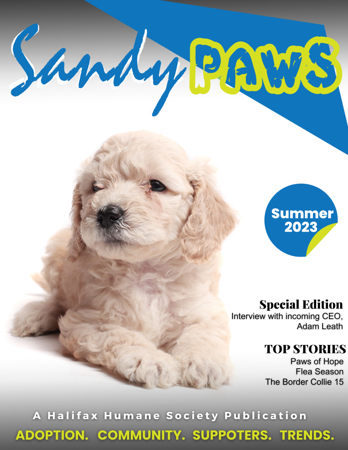 Sandy Paws 2023 Summer