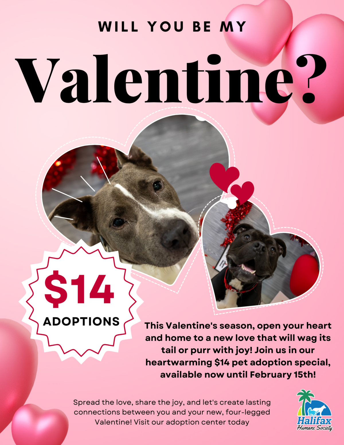 Valentine's Day Promo