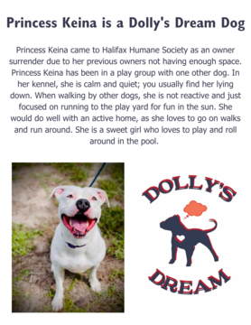 Dolly's Dream Dogs Adopted