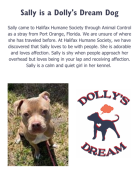 Dolly's Dream Dogs Adopted