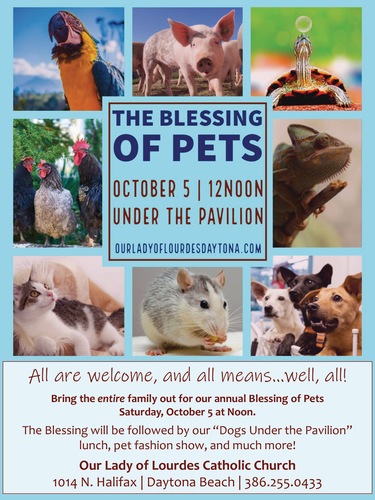 Looking to get your pets blessed?