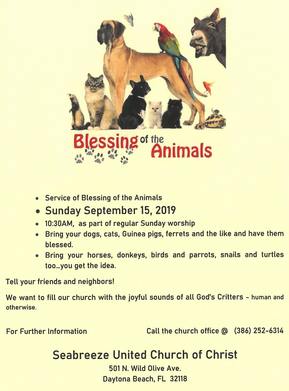 Looking to get your pets blessed?