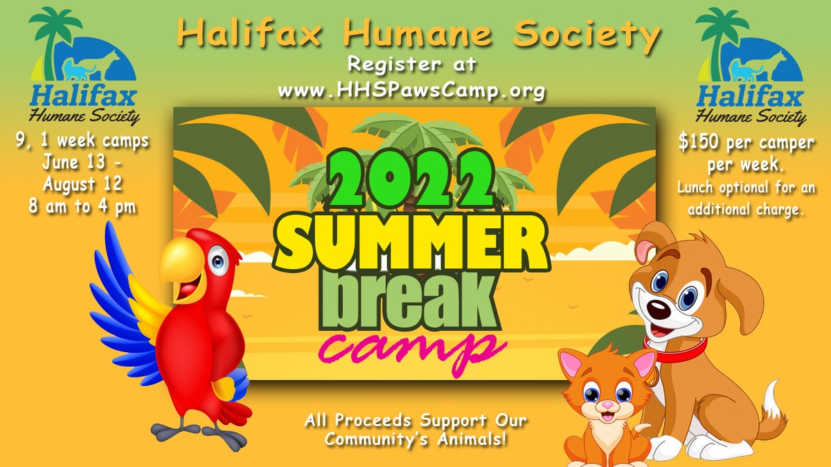 Summer Camp 2022