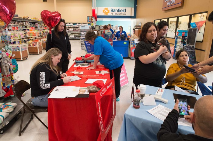 Find A Furry Companion During PetSmart Charities® National Adoption Weekend at PetSmart ISB Store with Animals from Halifax Humane Society