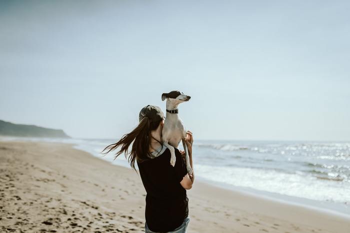 Should You Get A Dog When You're Newly Single?