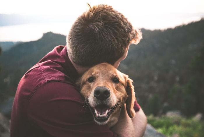 Can You Identify Your Dog’s Personality?