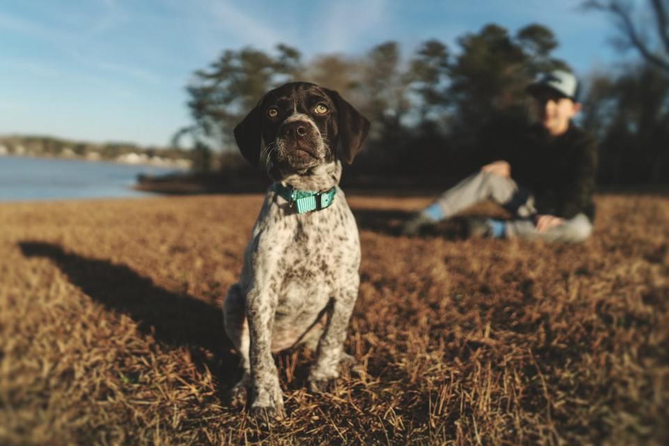 Dogs; A Vital Help For Children With Behavioral Issues
