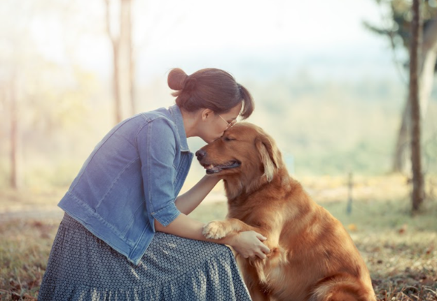 Adopt, Don’t Shop: Hope for the Stray and Abandoned Dogs