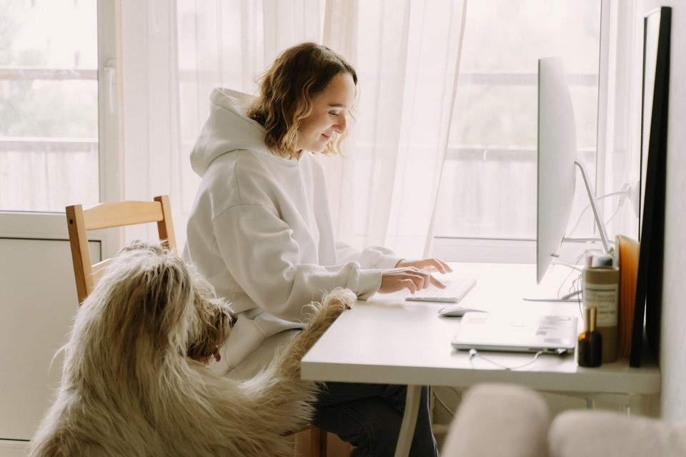 Having and Caring for Pets at Home Q&A: Tips and Advice from the Experts