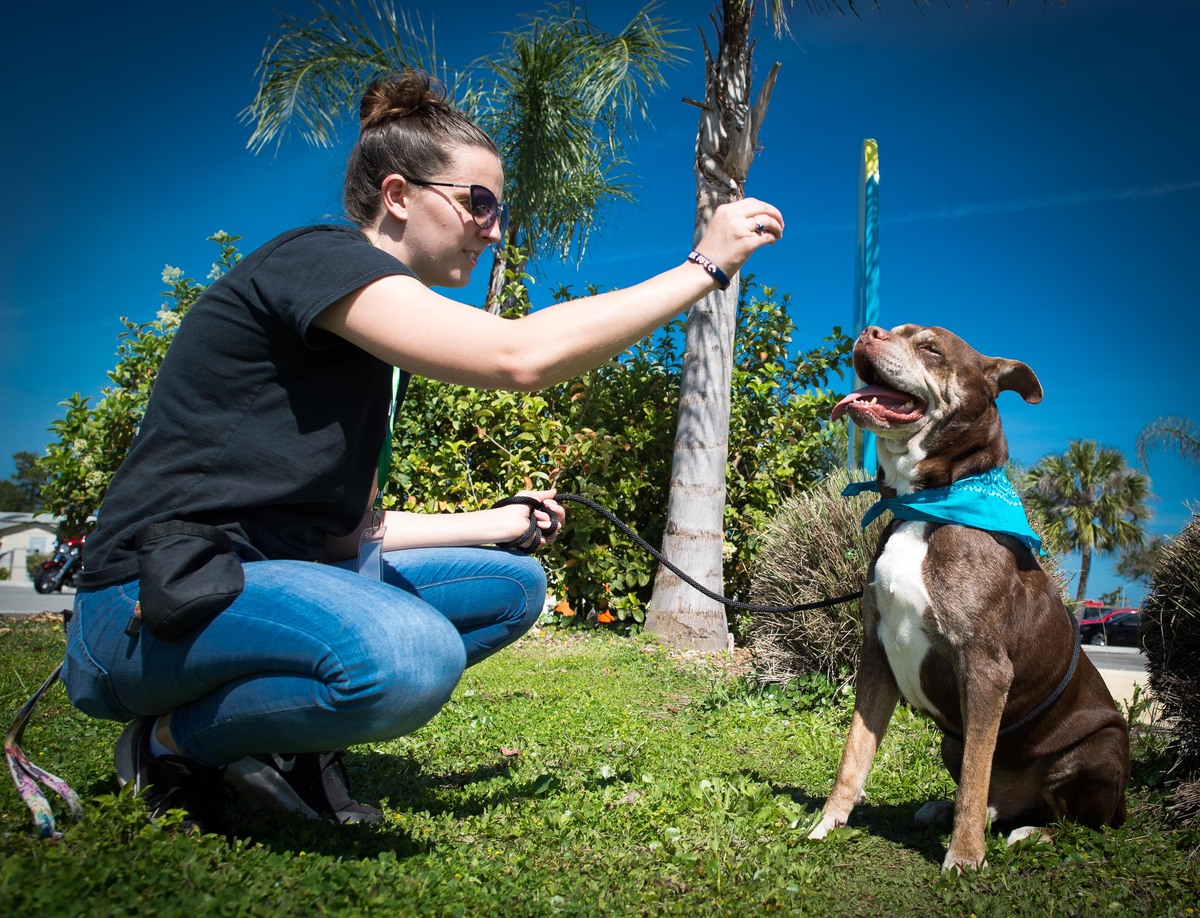 Foster Volunteers