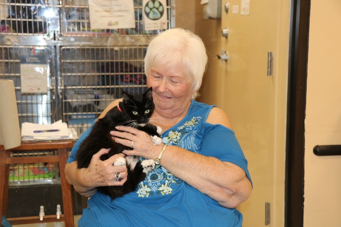 Offsite Cat Adoption Ambassador