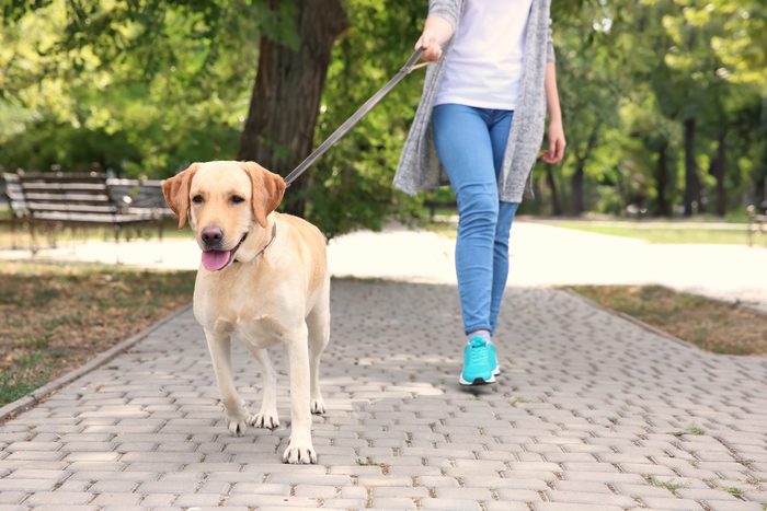 5 Ways to Keep Walks Peaceful