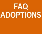 FAQ Adoptions