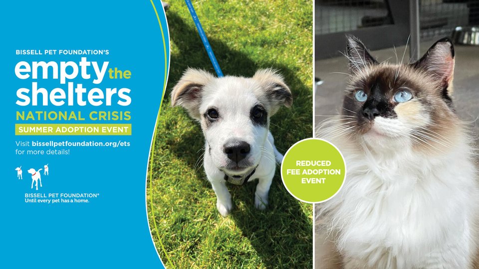 BISSELL Pet Foundation Fights Shelter Overcrowding by Reducing Adoption Fees Across the Country