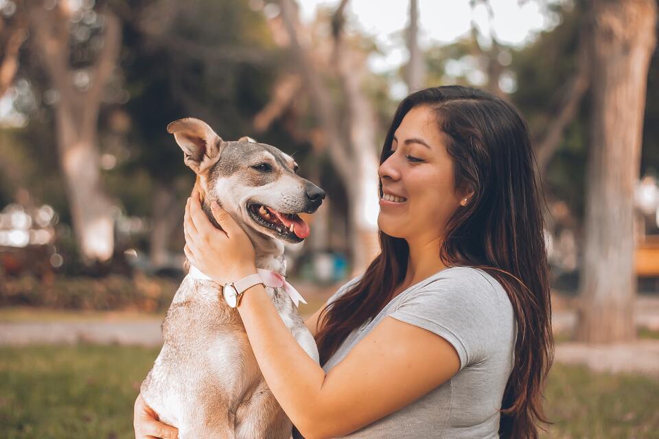 How To Make A Vet Visit Less Stressful