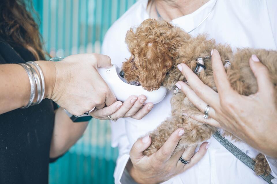 How To Make A Vet Visit Less Stressful