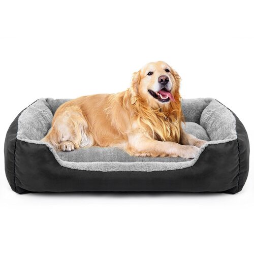 Top 5 Health Benefits of Dog Beds For Your Precious Pup
