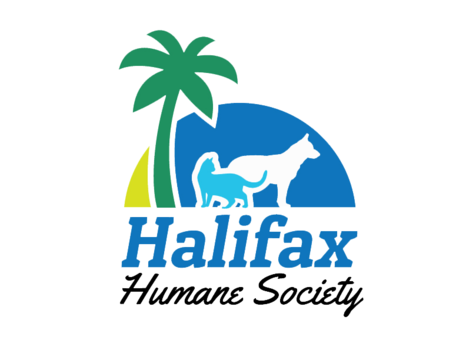 HHS Identifies Cause of URI Outbreak in Shelter Dogs
