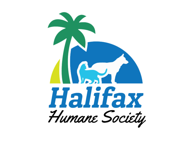 HHS Identifies Cause of URI Outbreak in Shelter Dogs