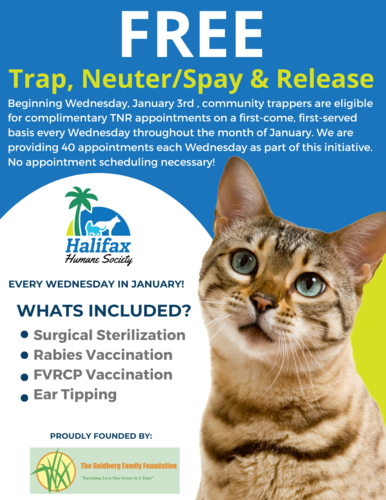 TNR- Sponsored January Appointments