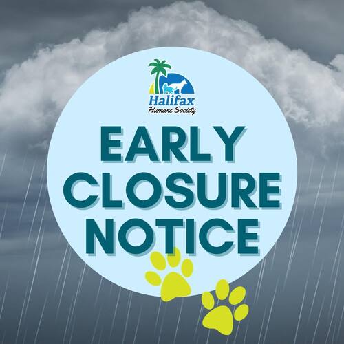 Early Closure 1/9/23
