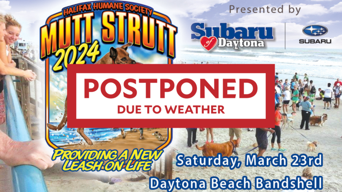 Mutt Strutt 2024: Postponed