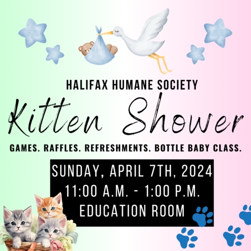 Kitten Shower