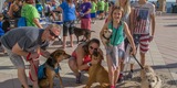 Mutt Strutt 2018 - Great Success!