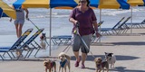 Mutt Strutt 2018 - Great Success!