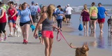 Mutt Strutt 2018 - Great Success!
