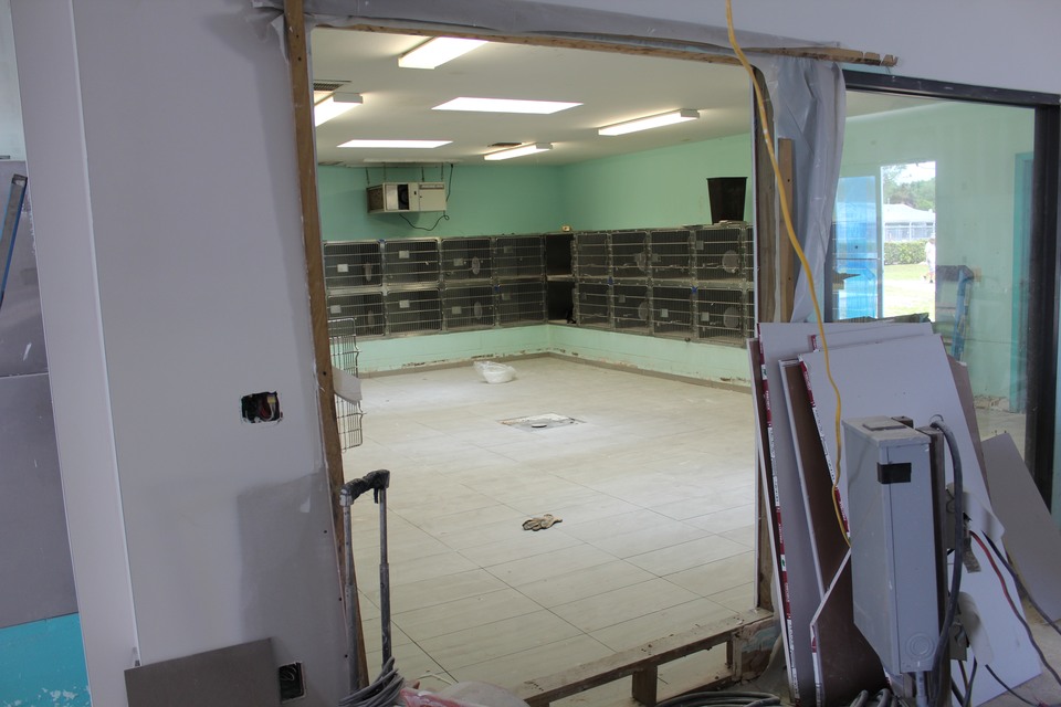 Renovation of Main Campus