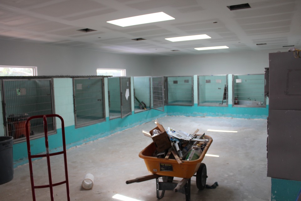 Renovation of Main Campus