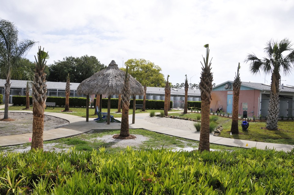 Renovation of Main Campus