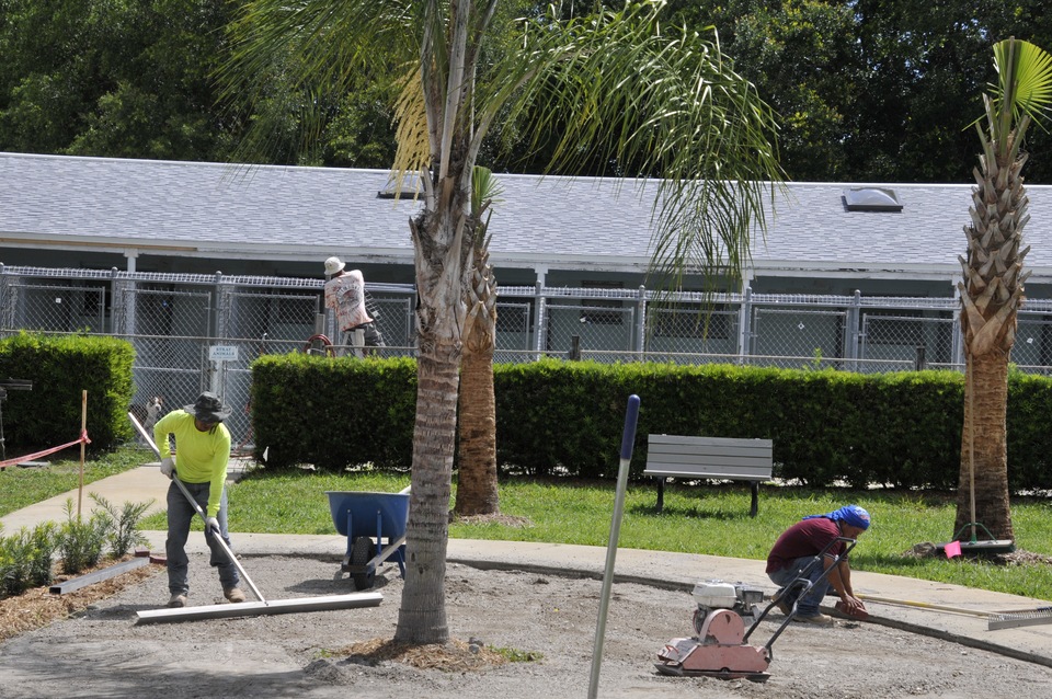 Renovation of Main Campus