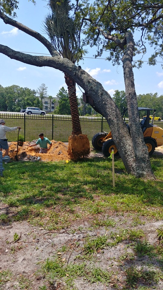 Renovation of Main Campus