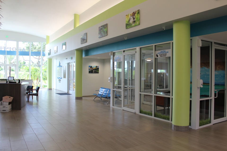 Renovation of Main Campus