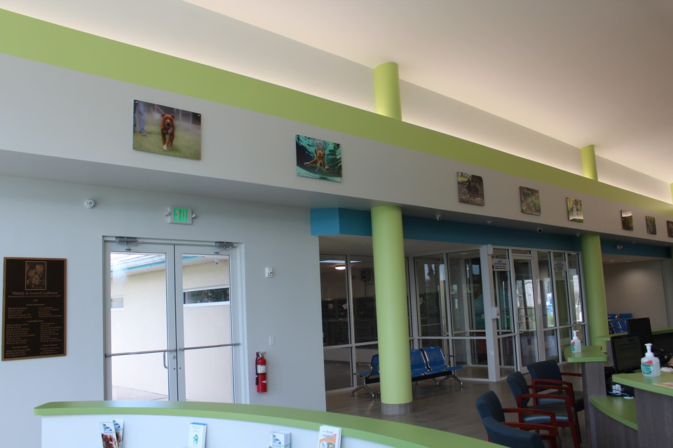 Renovation of Main Campus