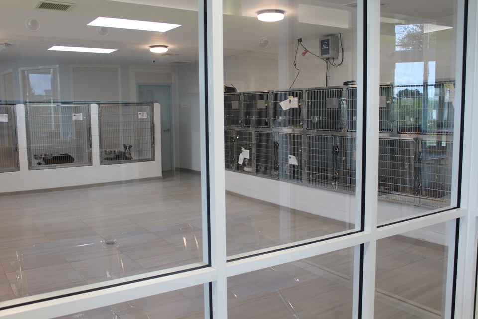 Renovation of Main Campus