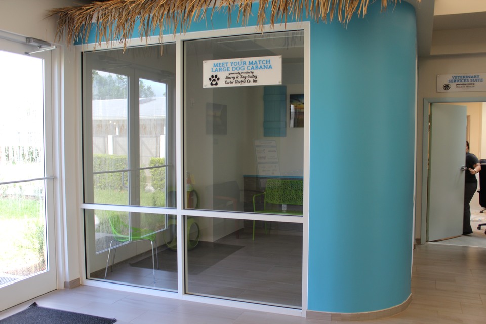 Renovation of Main Campus
