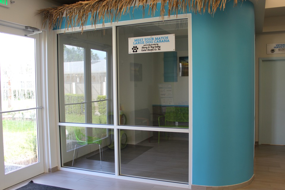 Renovation of Main Campus