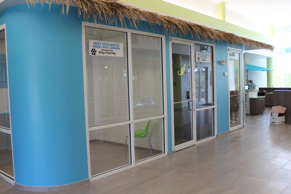 Renovation of Main Campus