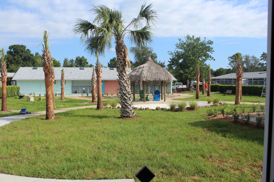 Renovation of Main Campus