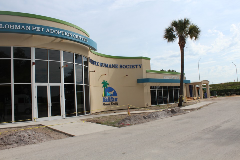 Renovation of Main Campus