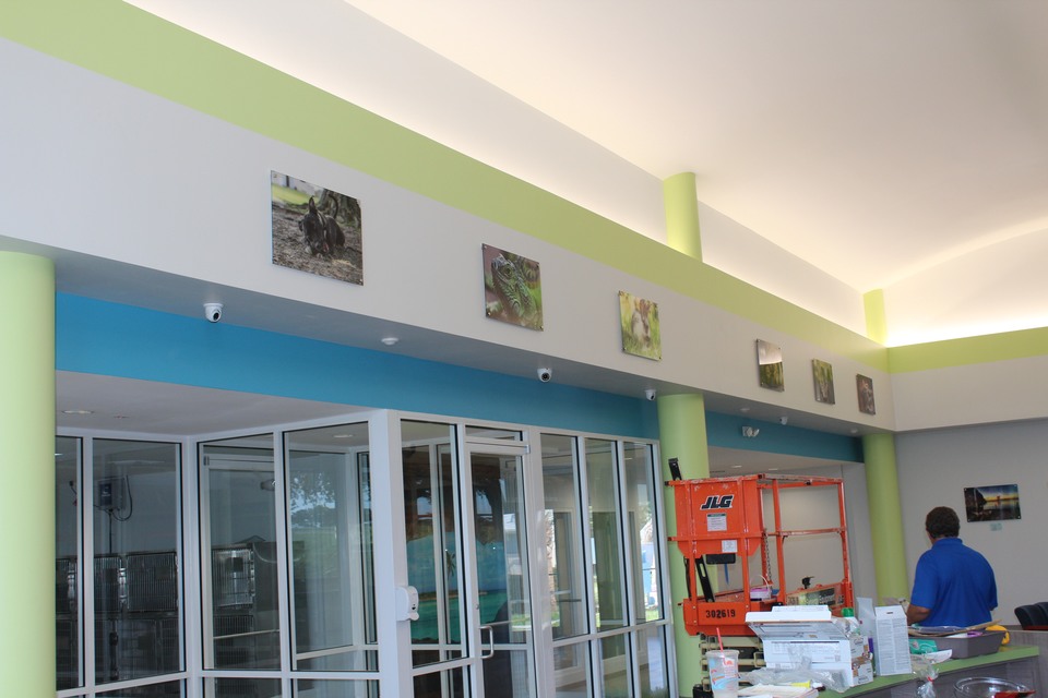 Renovation of Main Campus