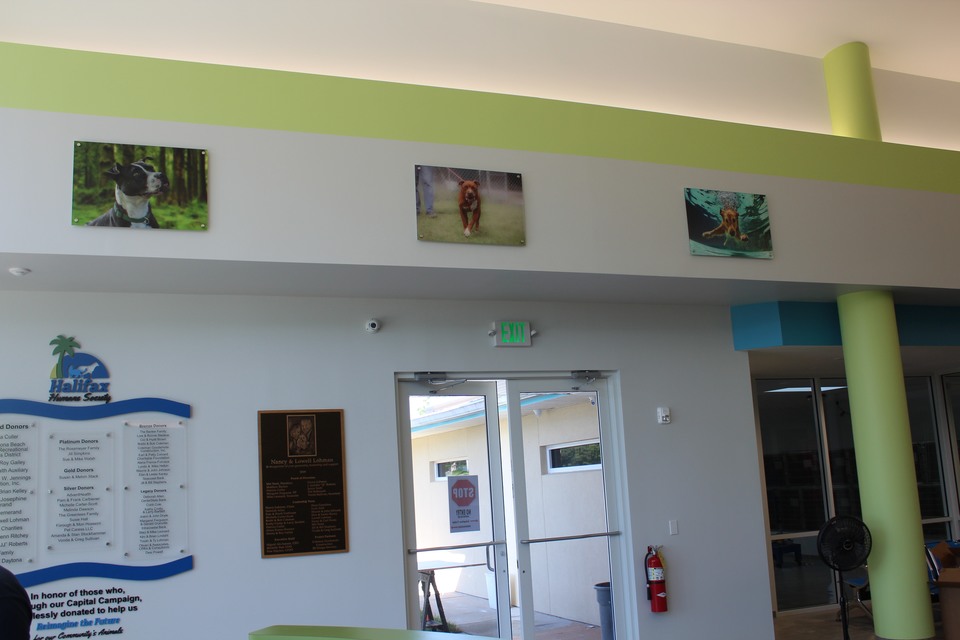 Renovation of Main Campus